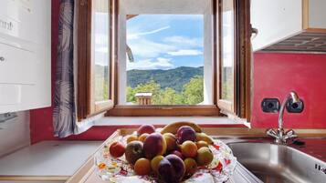 Kjøleskap, ovn, kokeplater og kjøkkenutstyr