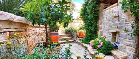 Terrein van de accommodatie