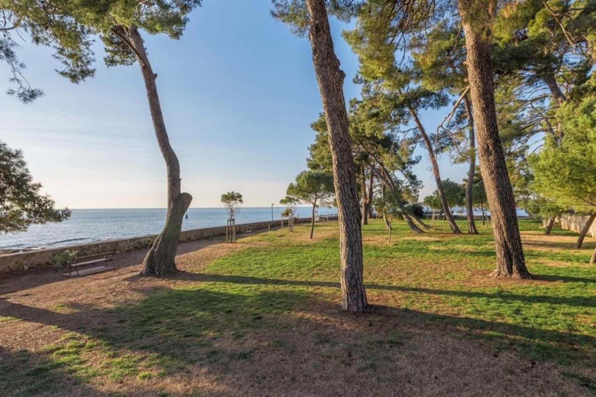 A coastal park with trees, a bench, and a view of the sea.