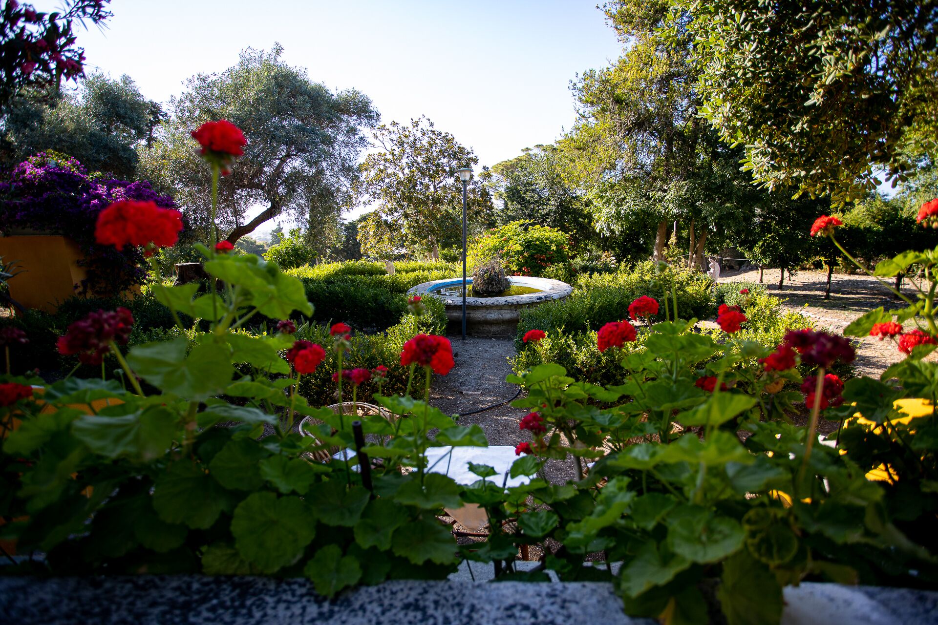 Parco della struttura
