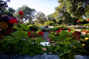A garden with a central fountain surrounded by lush greenery and red flowers.
