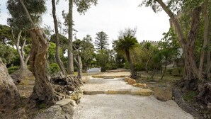 Um caminho serpenteia por um jardim com árvores e um muro de pedra ao fundo.