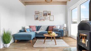 Fernseher, Kamin, Bücher, Videothek