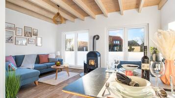 TV, fireplace, books, video library