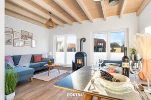 TV, fireplace, books, video library