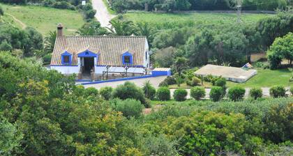 Finca La Cantarera Tarifa - Reconnect with yourself + nature. 5 mins from Tarifa