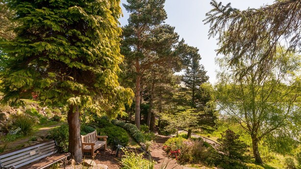 A serene park with a wooden bench and a small table, surrounded by lush greenery and trees. - Beautiful Georgian property enjoying a quiet location. Sleeps 10. (Edinburgh)