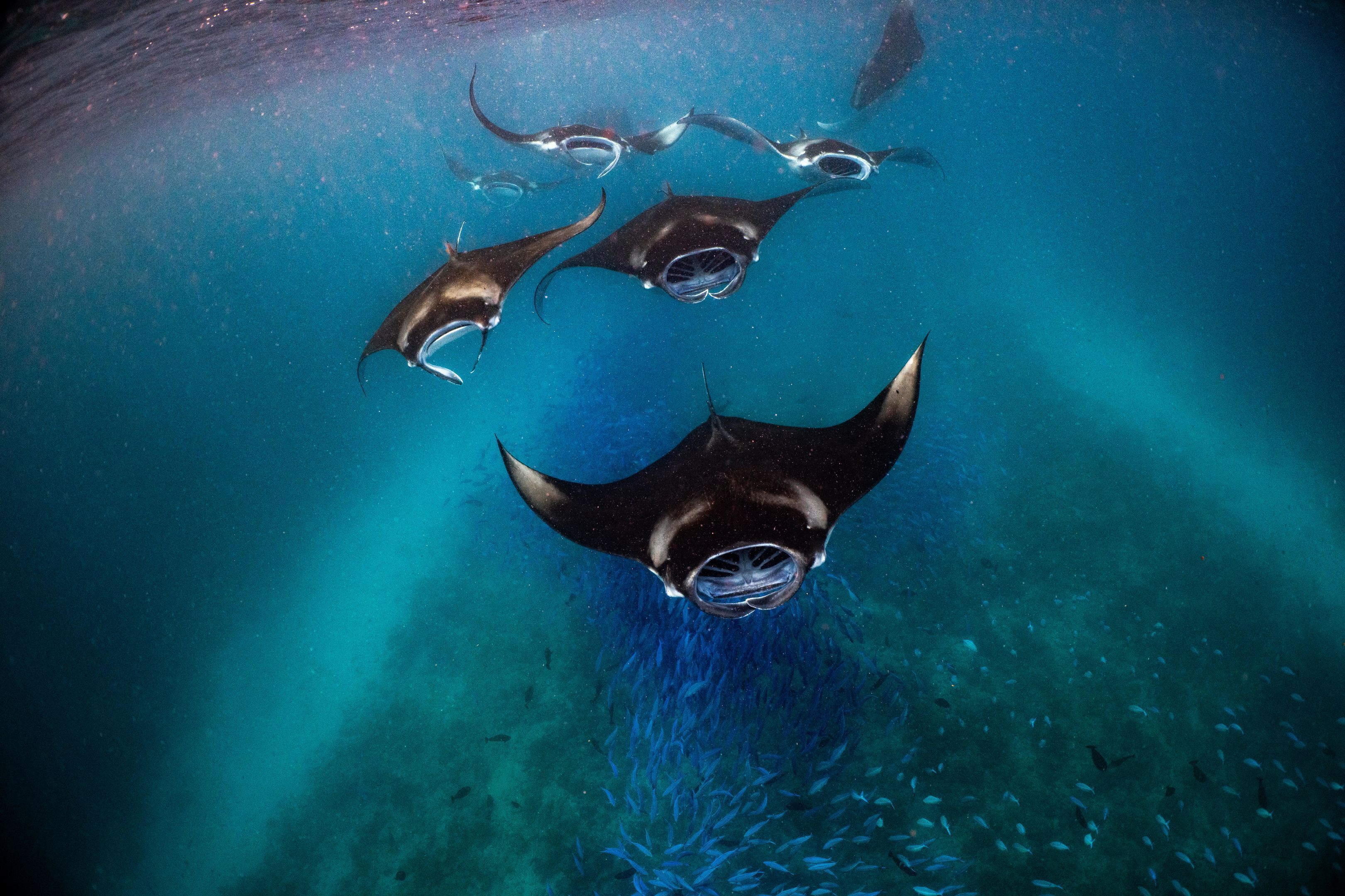 Foto - Nova Maldives