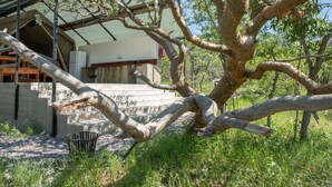 Un edificio con un espacio al aire libre techado, una escalera de hormigón y un árbol en primer plano.