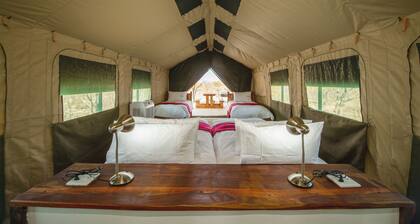 Etosha Safari Camping2Go