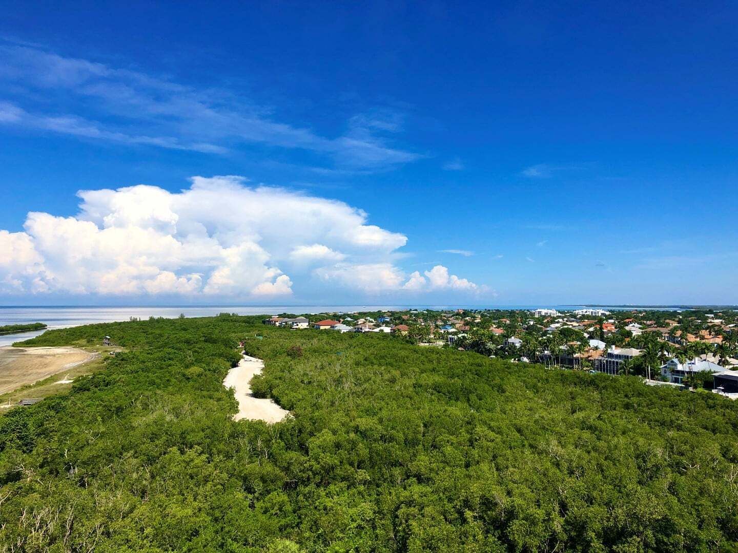 Eine Küstenlandschaft mit blauem Himmel, einem gewundenen Pfad durch dichtes Grün und einem Blick auf eine Wohngegend in der Ferne.