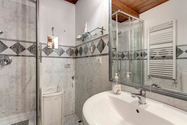Shower, hair dryer, bidet, towels