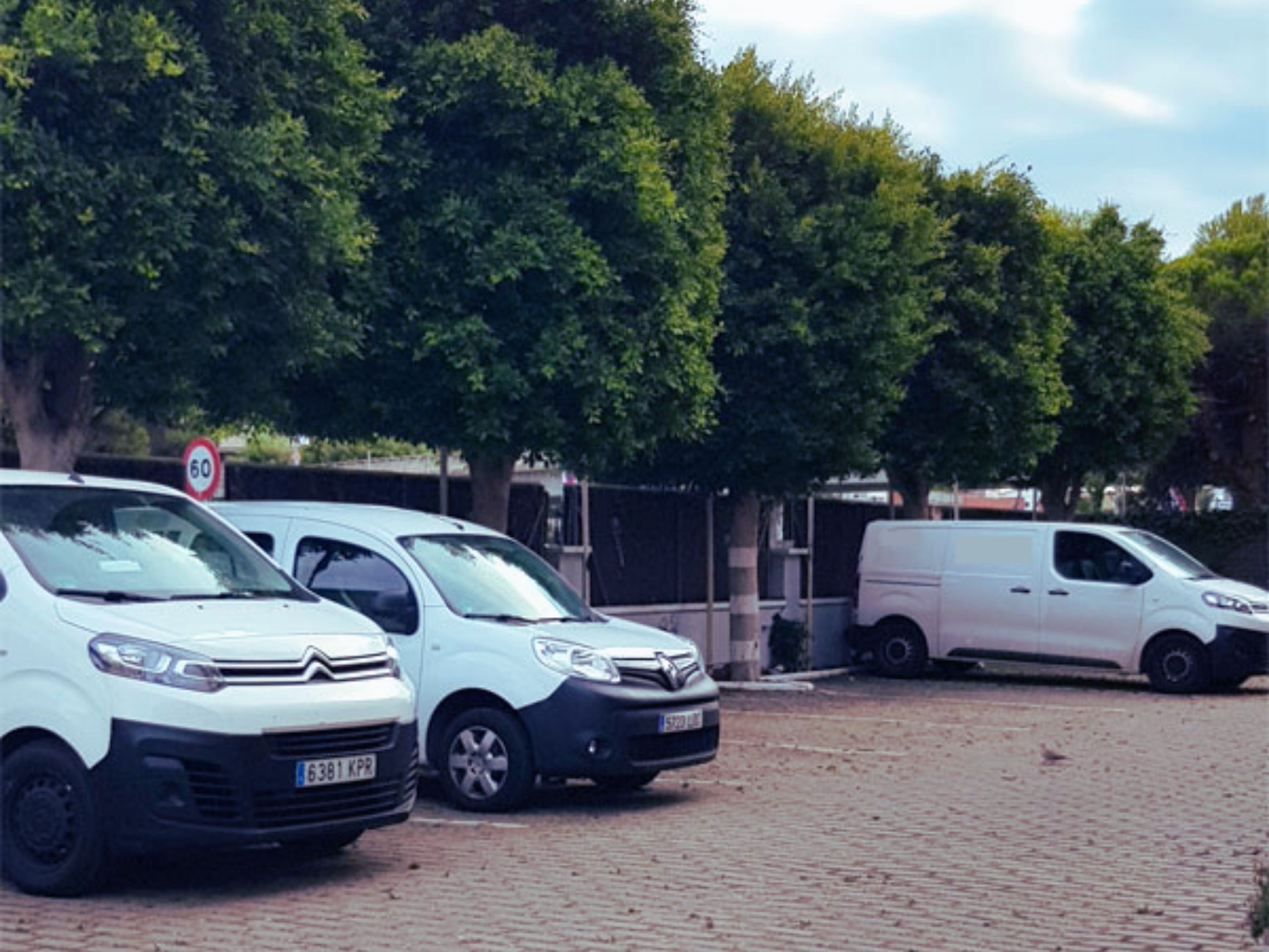 Un área de estacionamiento con varias camionetas blancas y un coche blanco.