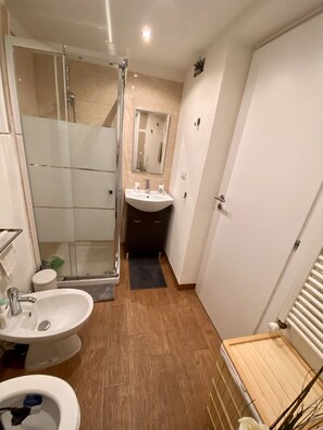 Shower, hair dryer, bidet, towels