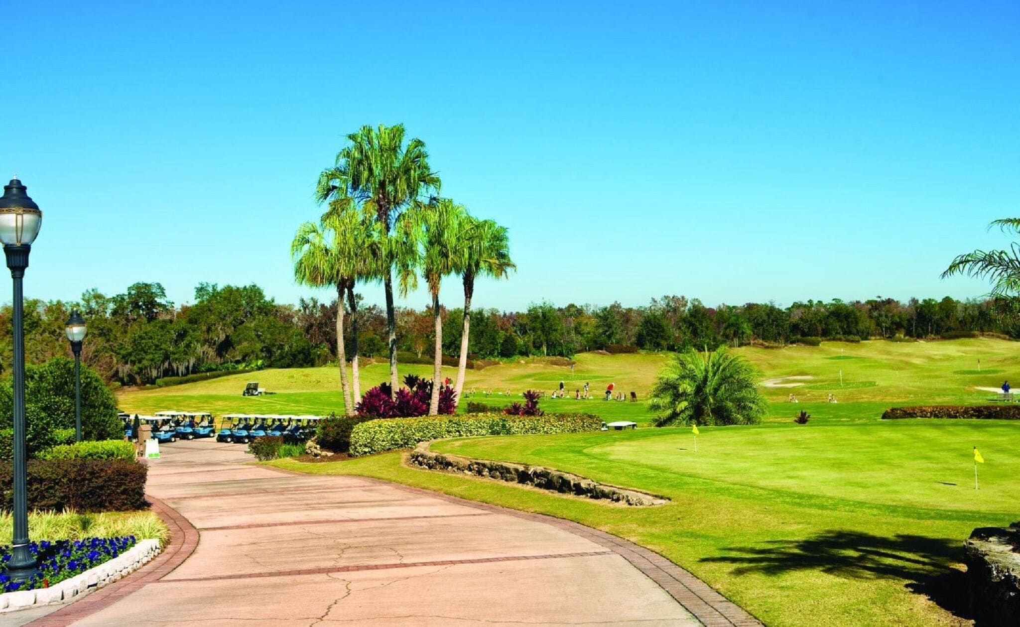 Golf