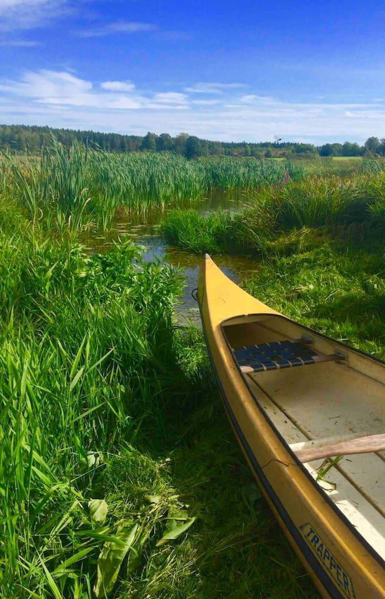 A canoe in a grassy area with water.