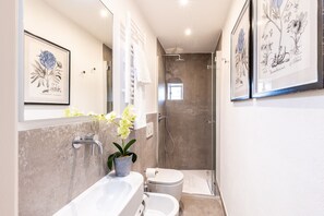 Shower, hair dryer, bidet, towels