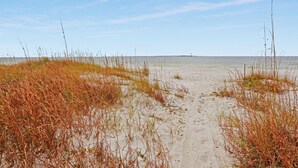 A sandy beach path with tall grasses leading to the water. - Pet Friendly, Ground Floor TH with  Gulf Views ~ Mimi's Place (St. Joe Beach)
