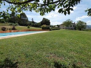 A grassy area with a swimming pool and a building in the background.
