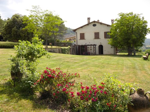 Scappo in Umbria, La Cantinetta