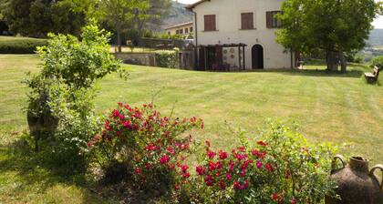 Scappo in Umbria, La Cantinetta
