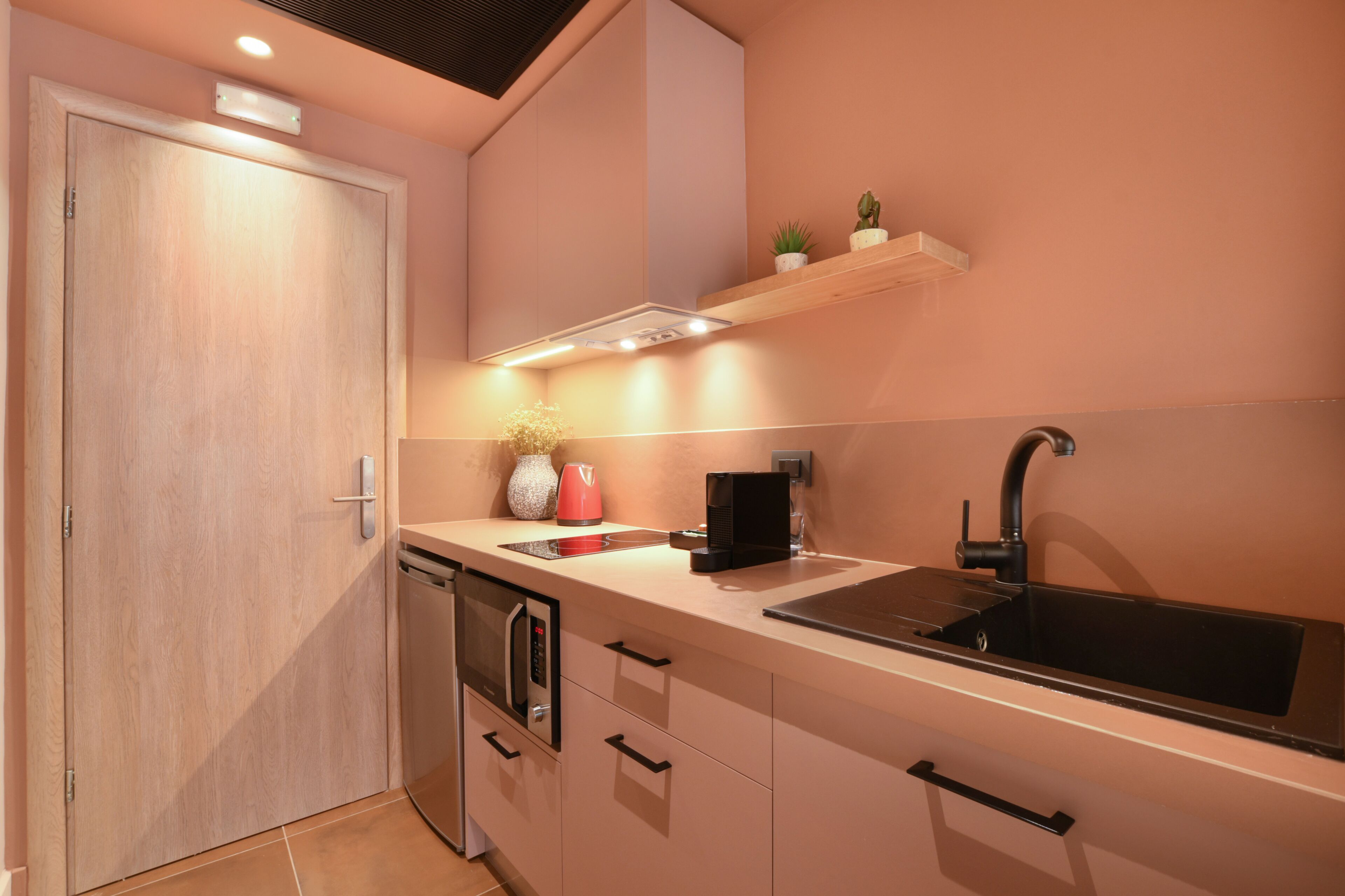 Eine moderne Küche mit eingebautem Geschirrspüler, Mikrowelle, Spüle und Dunstabzugshaube. Eine Holztür und ein Regal mit Pflanzen sind ebenfalls vorhanden.