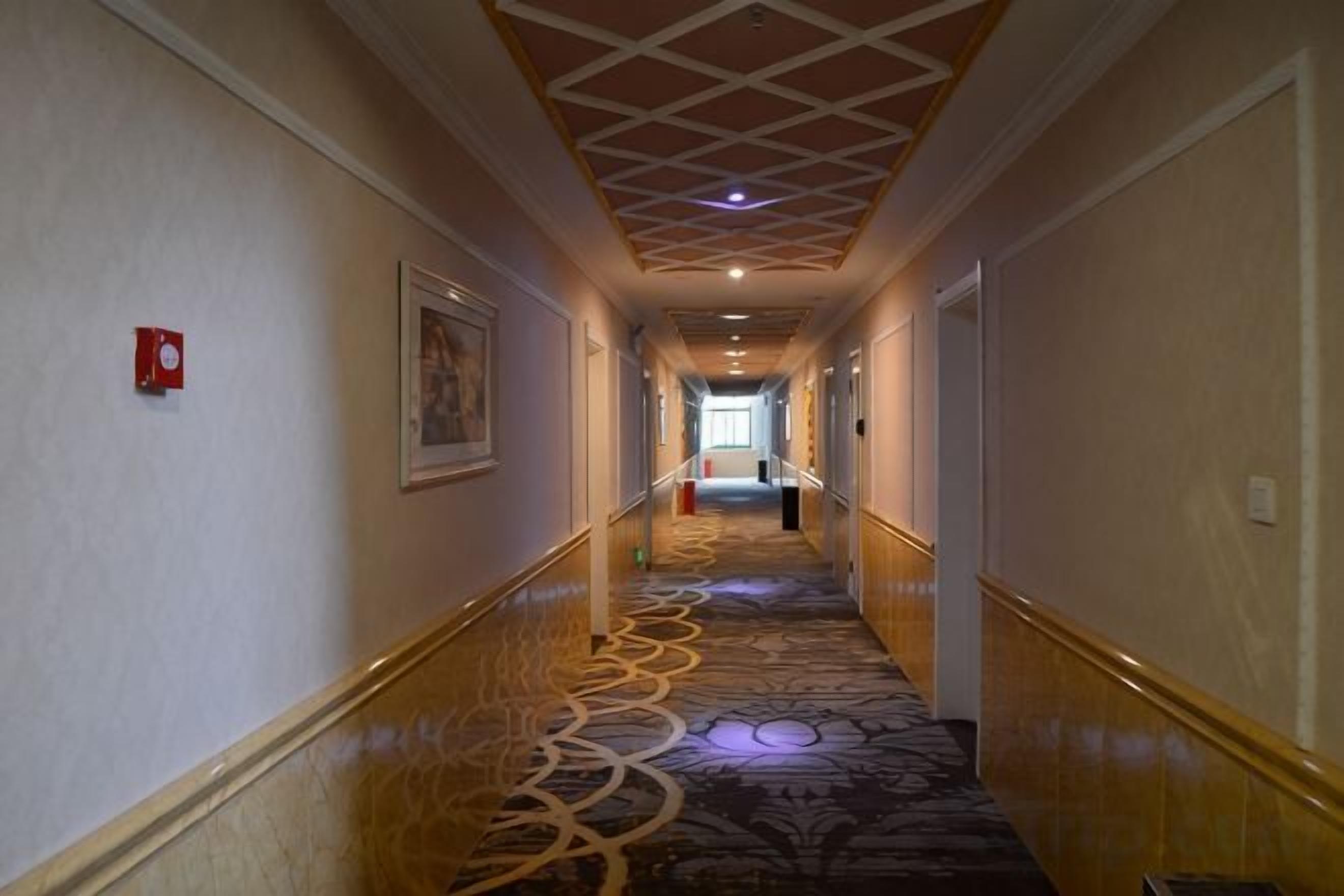A hotel corridor with a patterned carpet, a handrail, and a ceiling with a grid design.