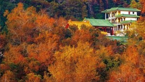 A traditional building with a green roof, surrounded by dense autumn foliage. - Jiangmen ParkLane Hotel (Xiangshan Park Xinqiao Branch) (Jiangmen)