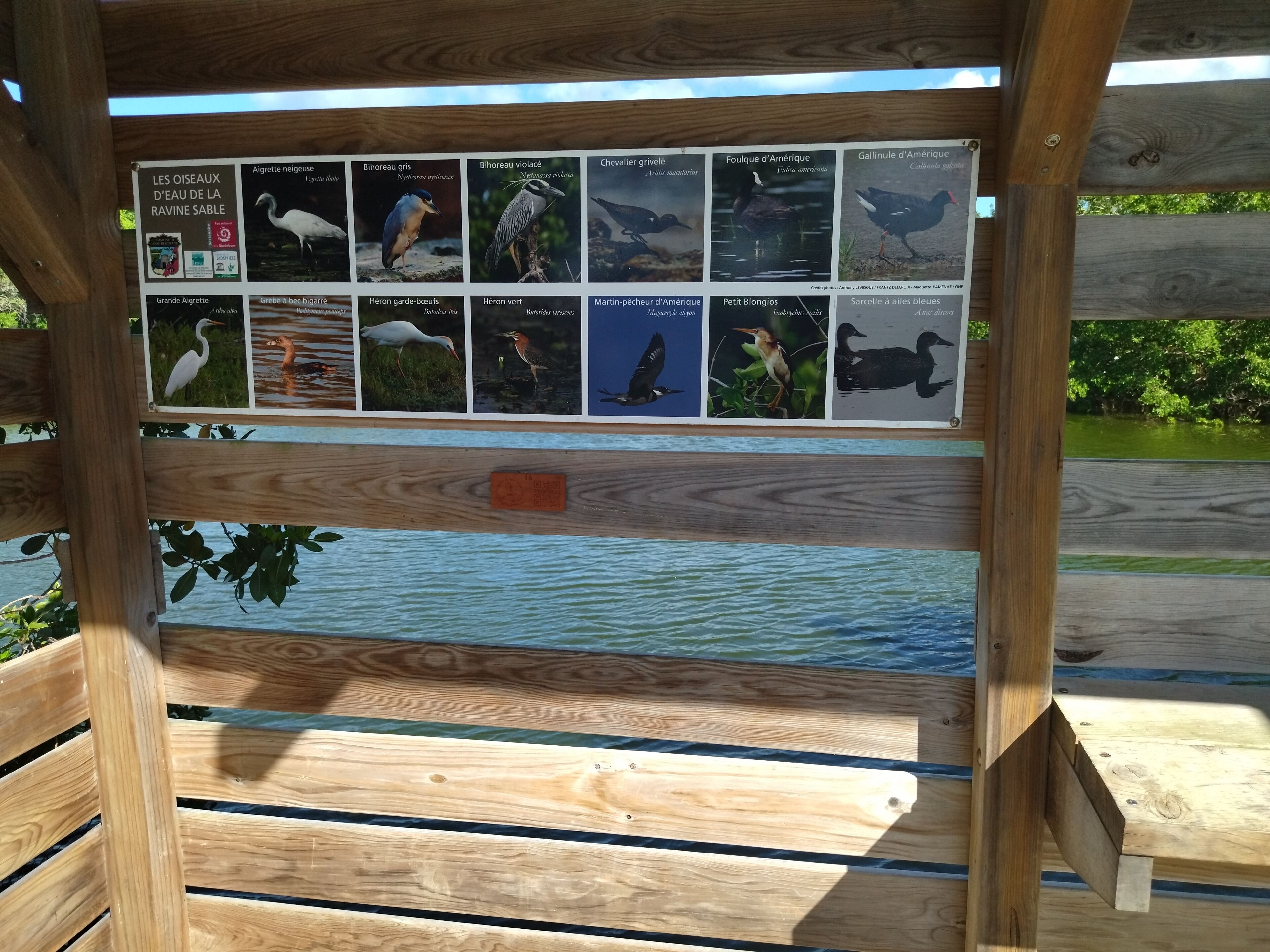 A wooden structure with a signboard displaying various bird species.