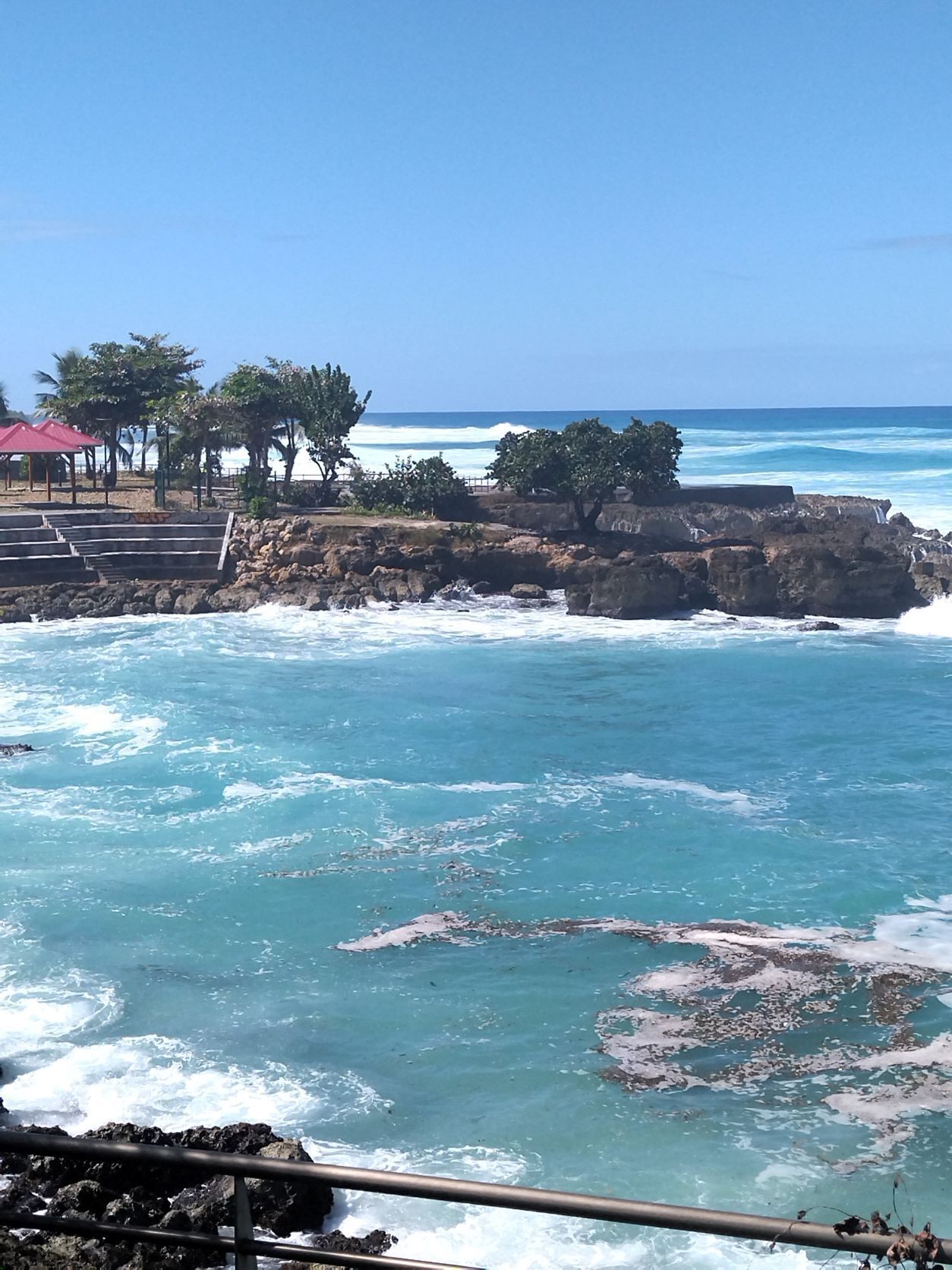 A coastal view with rocky terrain, clear blue water, and a few trees.