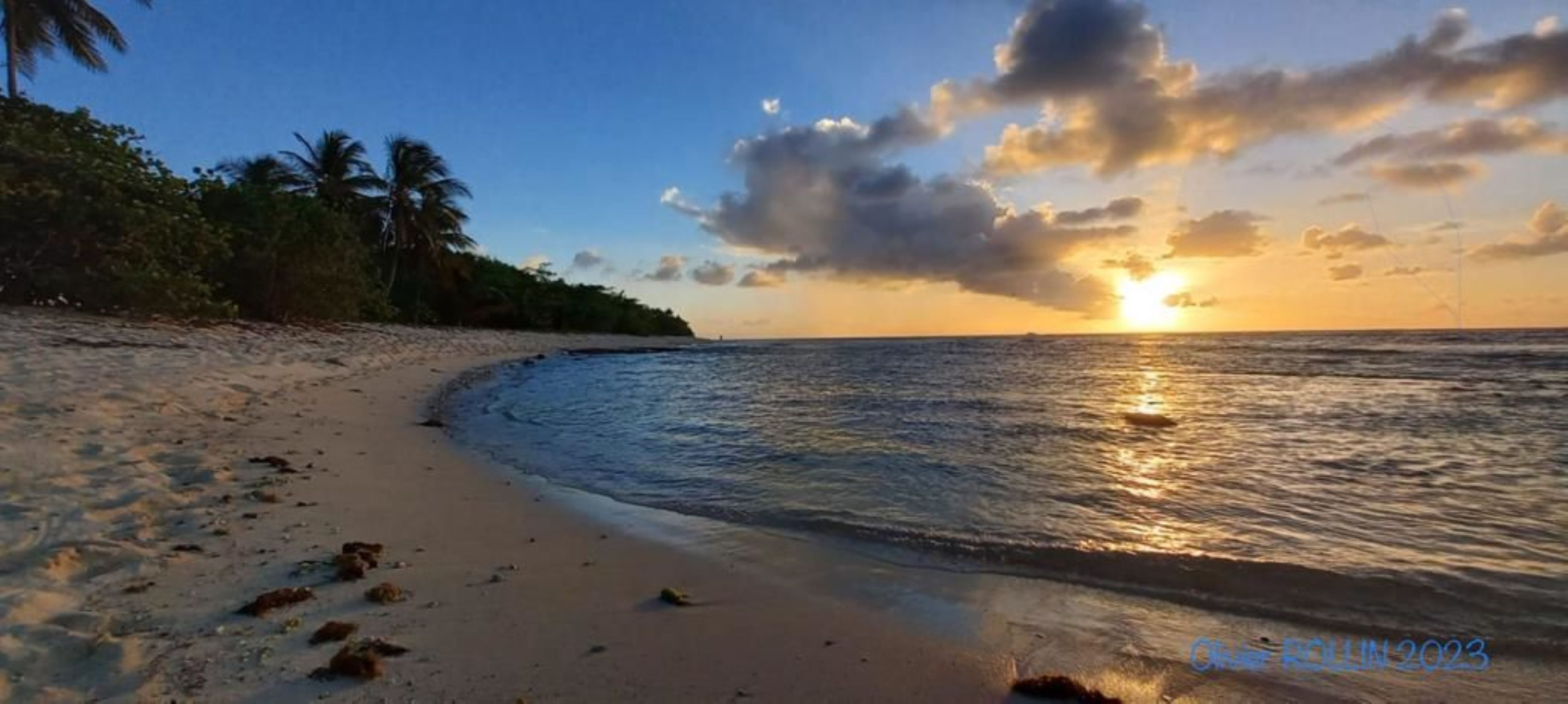 A beach with a sunset, palm trees, and a clear sky.