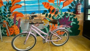 Een roze fiets met een mandje en een zadel, geparkeerd voor een kleurrijke muurschildering van een strand.