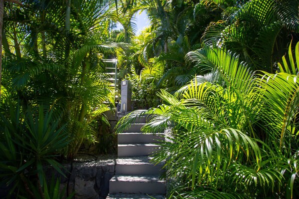 Área da propriedade