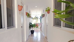 A narrow hallway with white walls, large windows on both sides, and potted plants along the walls.