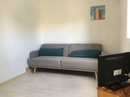 TV