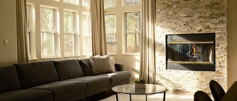 Smart TV, fireplace, books