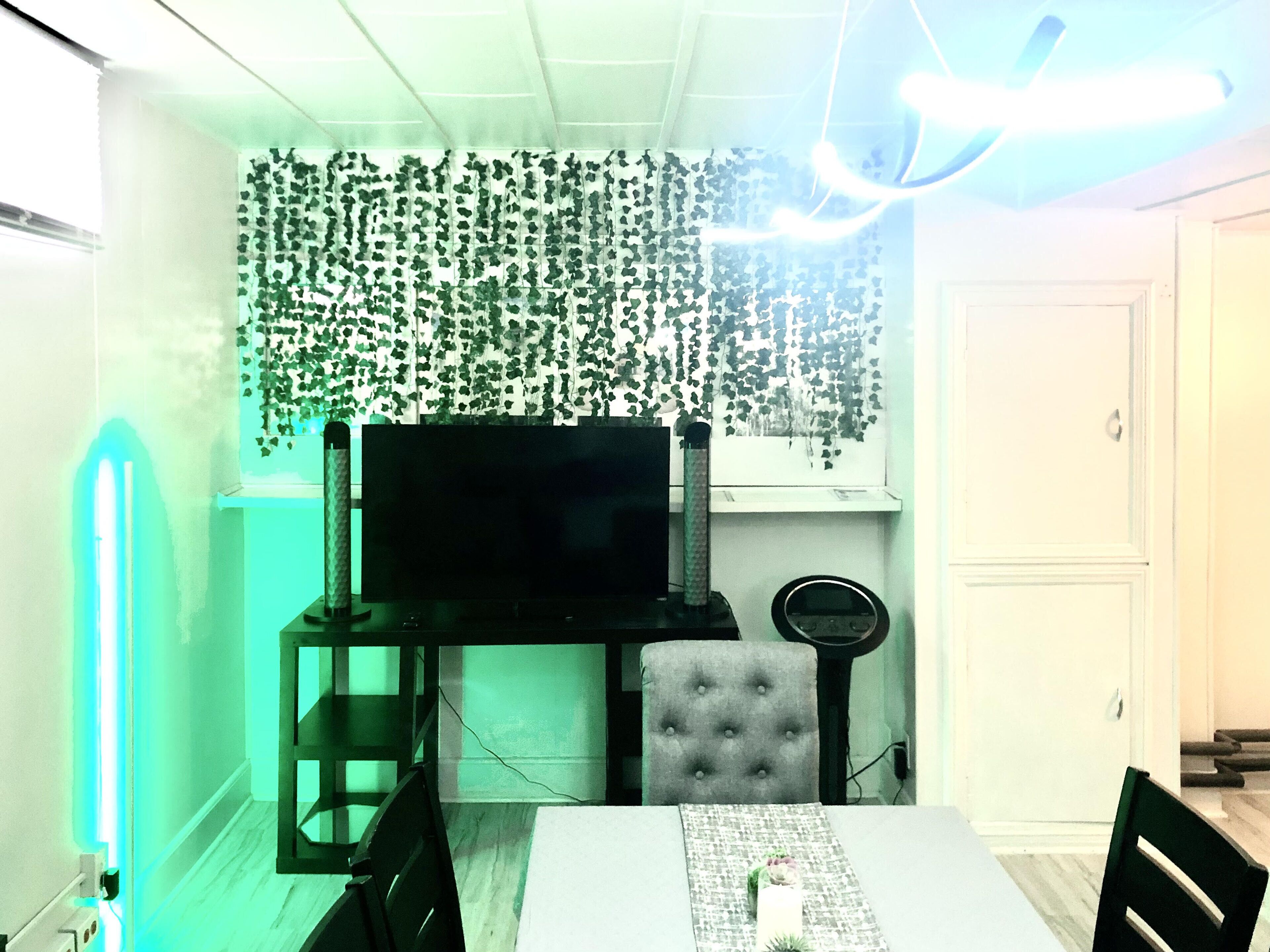 Une pièce comprenant un téléviseur, une table à manger et des chaises. Un mur est décoré d’un motif végétal, il y a un luminaire au plafond et une porte.