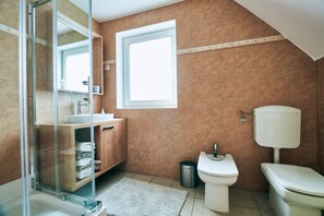 Shower, hair dryer, soap, toilet paper