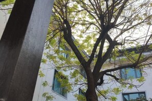 Imagem sem classificação, 5 de 96, botão