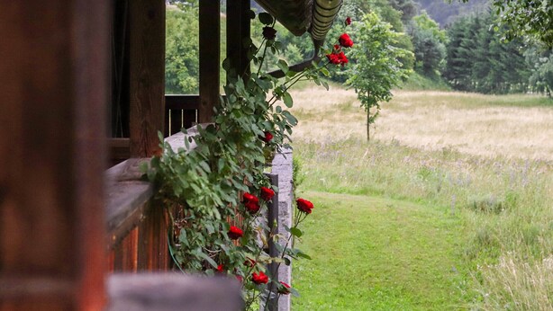 A wooden balcony with a view of a grassy field and trees. - House Alpine Rose - Apartment Toni (Mojstrana)