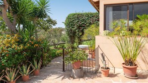 A garden with potted plants and a stone pathway leading to a building.