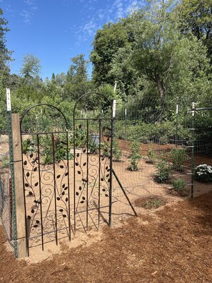 Property grounds - Rural home wheelchair accessible, pet friendly close to River & lake & I-80. (Meadow Vista)