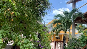 Property entrance - Don Panchon y Maruxa (Isla Holbox)