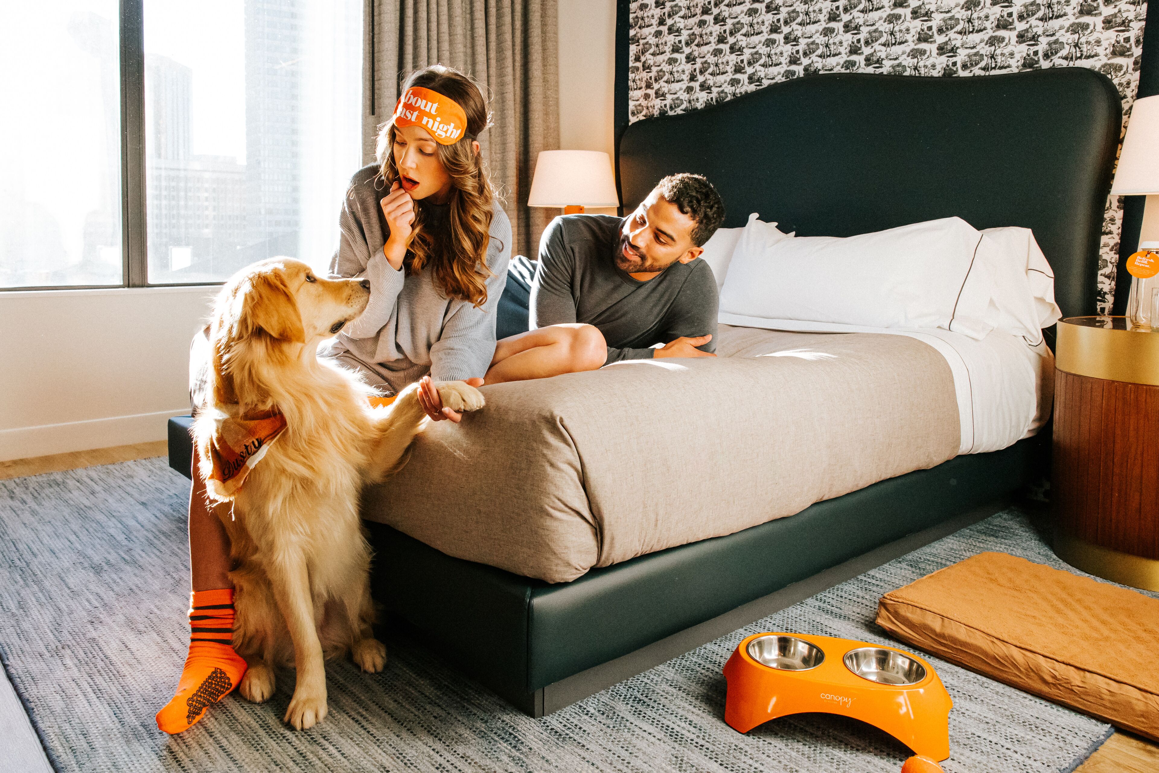 A hotel room with a bed, a window with a city view, a pet bed, and a pet bowl.
