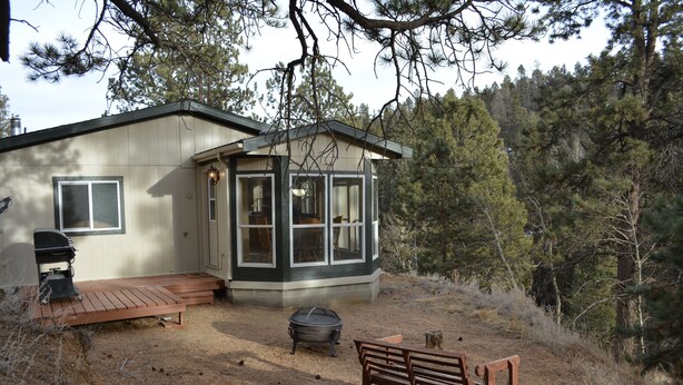 A cabin with a deck, a grill, and a fireplace. - Forest cabin on 4 acres,  Newly renovated, Quiet and secluded. (Florissant)