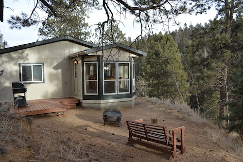 Forest cabin on 4 acres,  Newly renovated, Quiet and secluded.