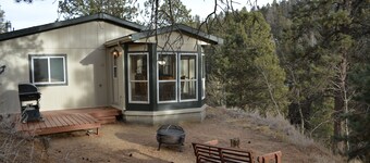 Forest cabin on 4 acres,  Newly renovated, Quiet and secluded.