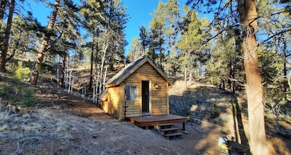 Forest cabin on 4 acres, Newly renovated, Quiet and secluded.
