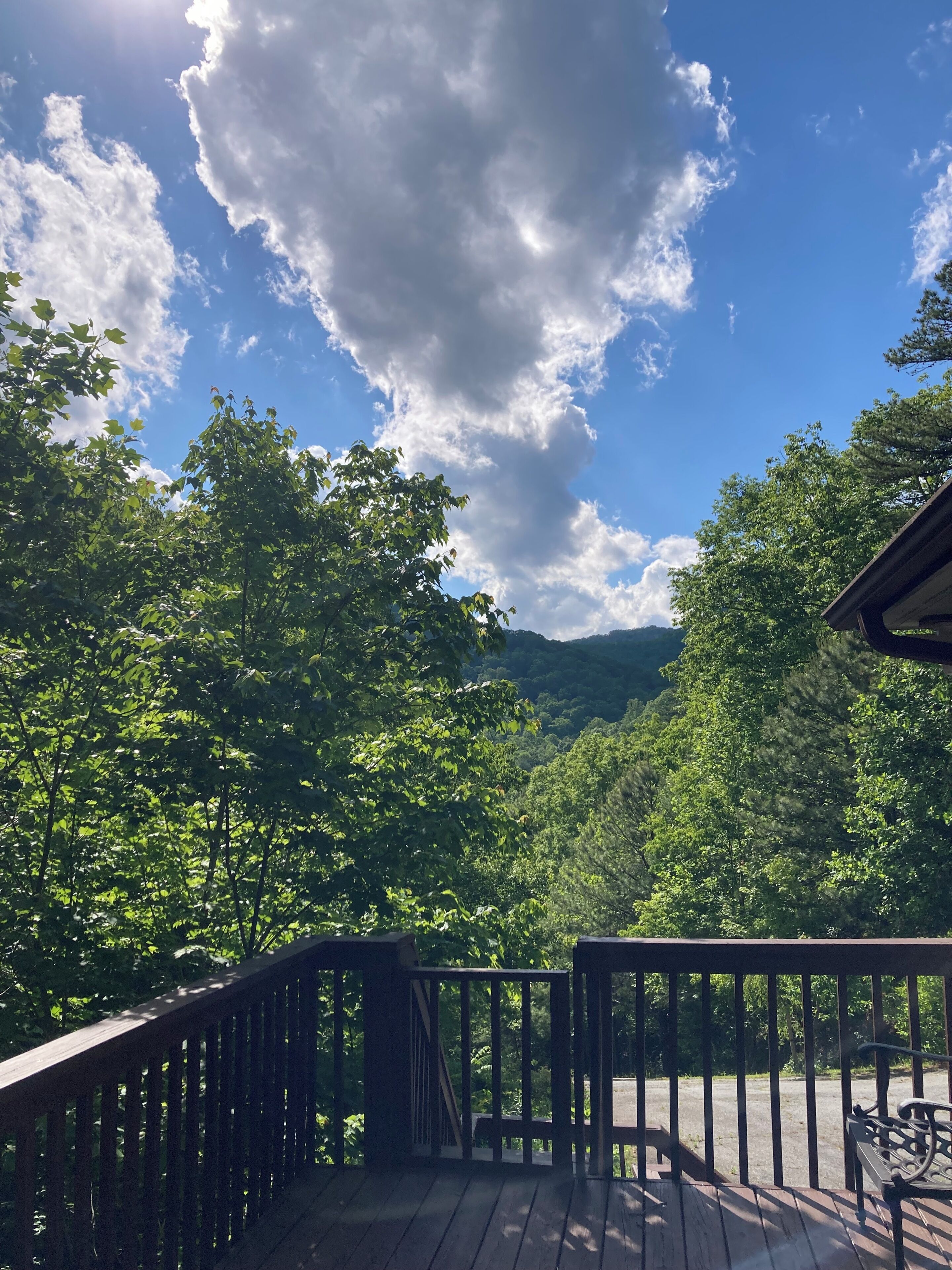 A wooden deck with a railing, overlooking a forested area with a clear sky.