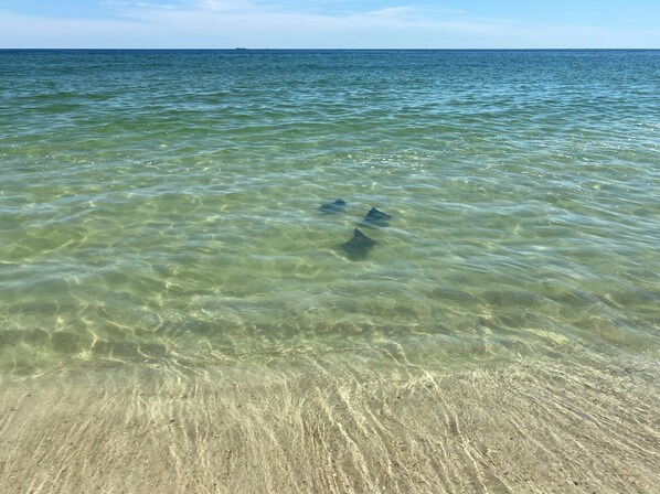A beach with clear shallow water and a sandy shore.